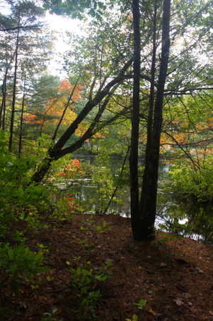Enlarge photo 32