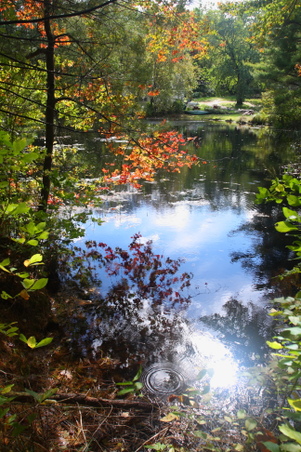 Enlarge photo 33