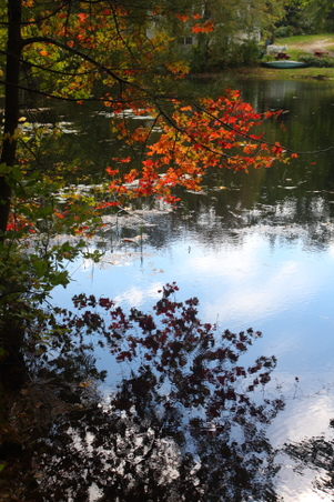 Enlarge photo 34