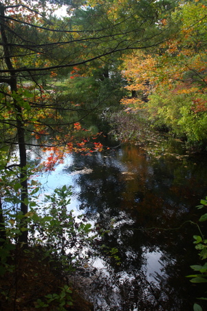 Enlarge photo 35