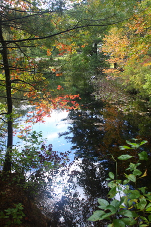 Enlarge photo 36