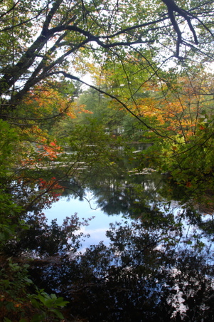 Enlarge photo 37
