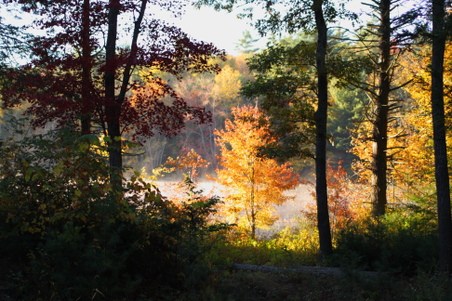 Enlarge photo 1