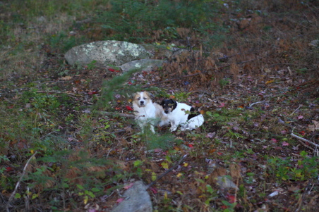 Enlarge photo 14