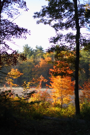 Enlarge photo 15