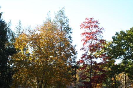 Enlarge photo 17