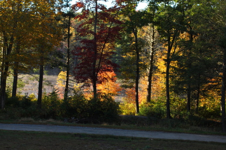 Enlarge photo 18