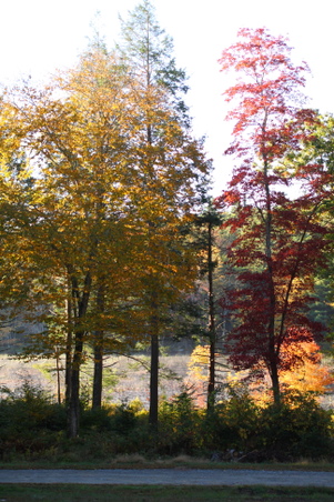 Enlarge photo 19