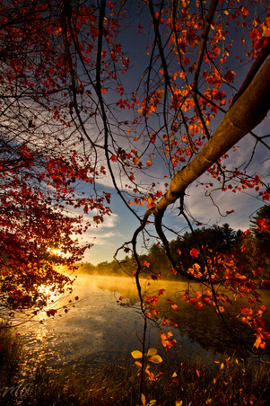 Enlarge photo 28