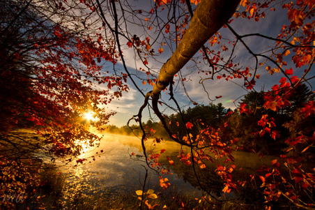 Enlarge photo 29