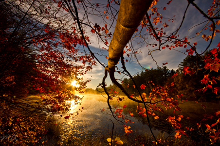 Enlarge photo 30