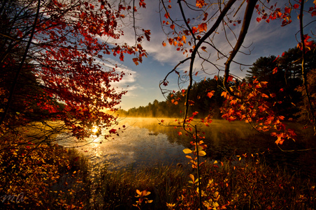 Enlarge photo 31