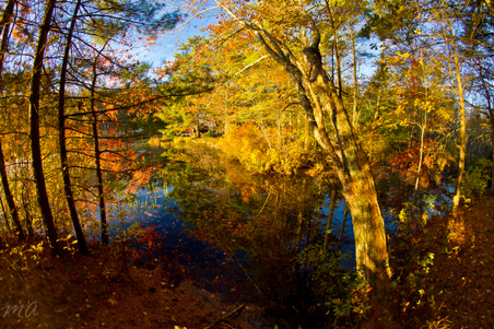 Enlarge photo 34
