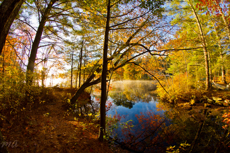 Enlarge photo 35