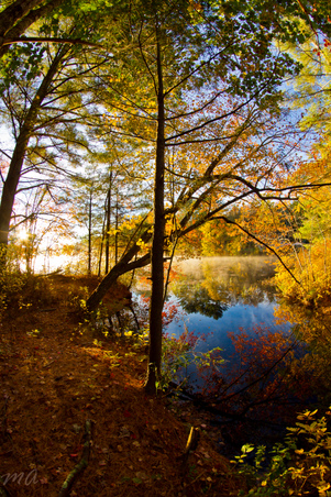 Enlarge photo 36