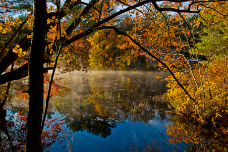 Enlarge photo 37