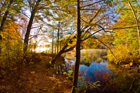 Enlarge photo 38