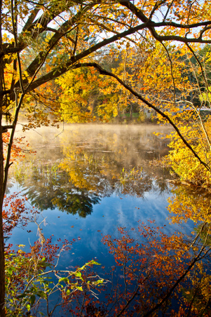 Enlarge photo 39