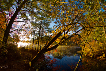 Enlarge photo 40