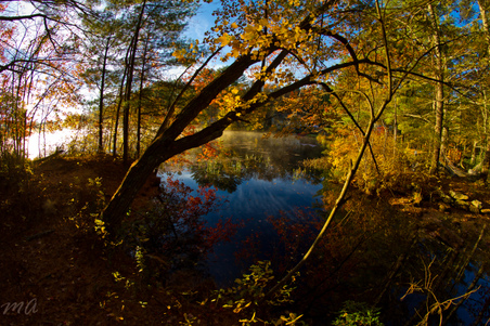 Enlarge photo 41