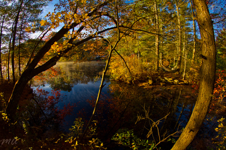 Enlarge photo 42
