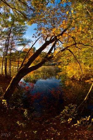 Enlarge photo 43