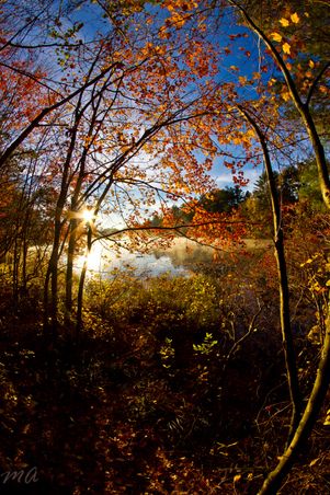 Enlarge photo 44