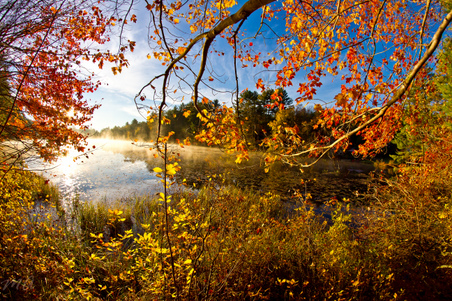 Enlarge photo 45