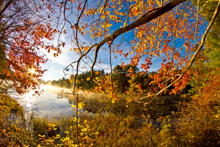 Enlarge photo 46