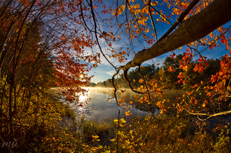 Enlarge photo 47