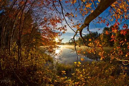 Enlarge photo 48