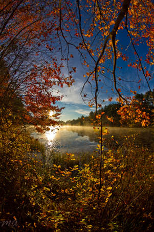 Enlarge photo 50
