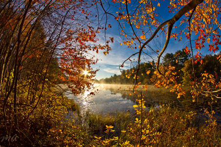Enlarge photo 60