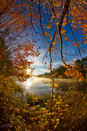Enlarge photo 62