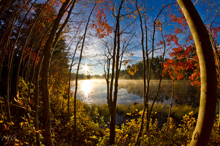 Enlarge photo 63
