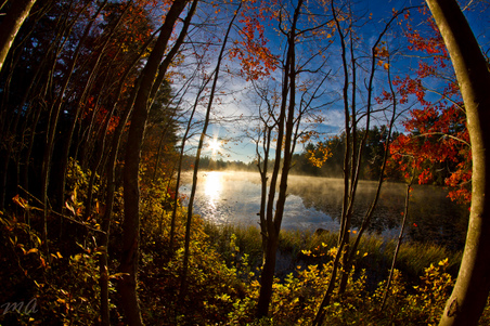 Enlarge photo 65