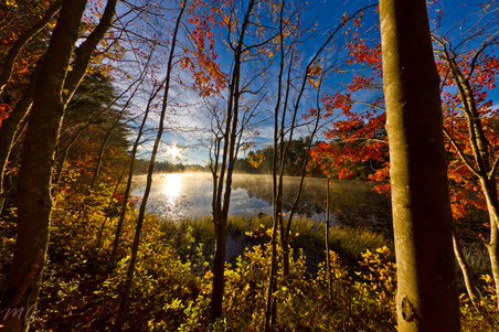 Enlarge photo 66