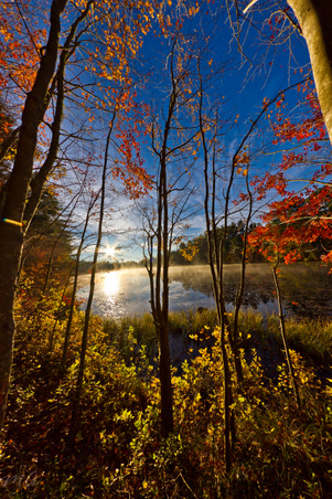 Enlarge photo 68