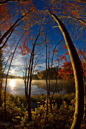 Enlarge photo 70