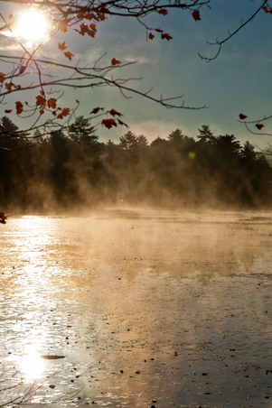 Enlarge photo 71