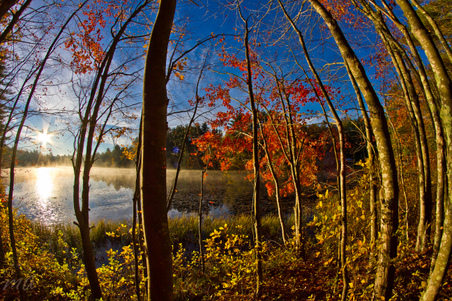 Enlarge photo 72