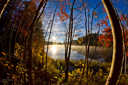 Enlarge photo 73