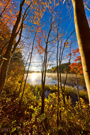Enlarge photo 74