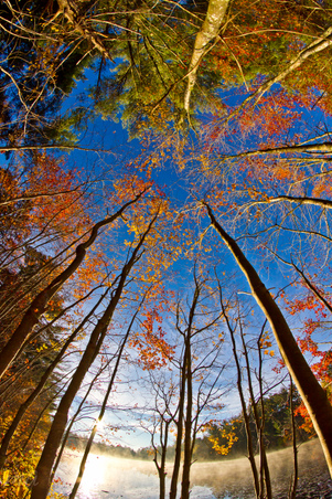 Enlarge photo 77
