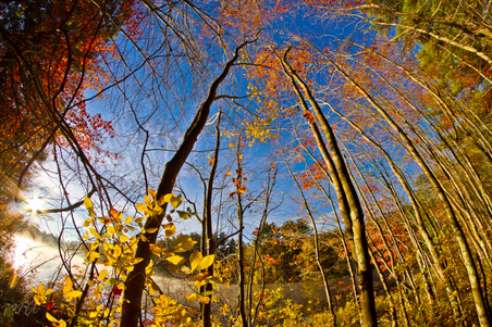 Enlarge photo 80