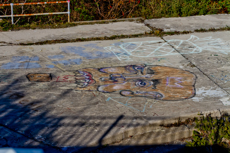 Enlarge photo 1