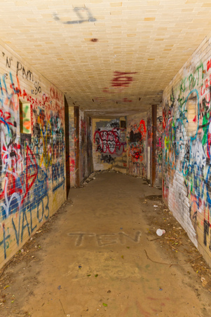 Enlarge photo 24