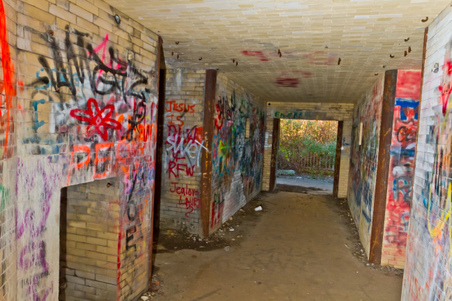 Enlarge photo 31