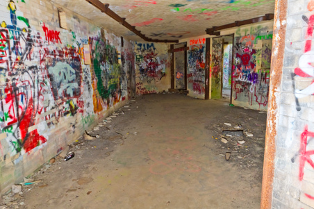 Enlarge photo 33