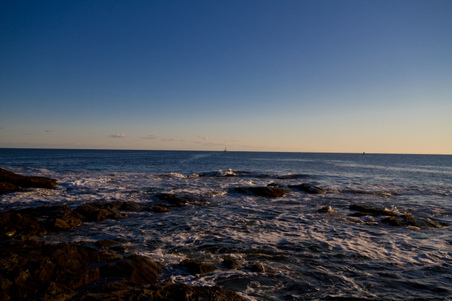 Enlarge photo 45